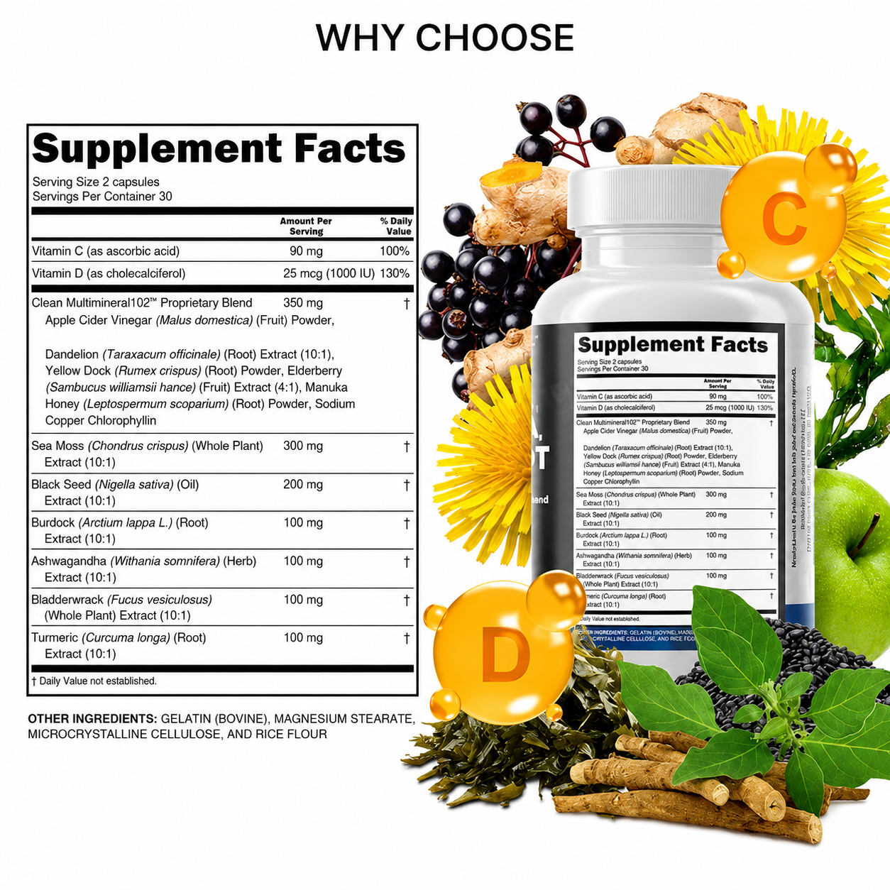 VitaSea supplement facts panel
